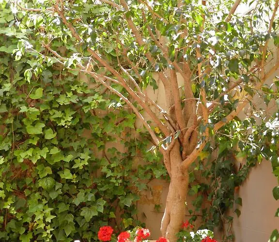Apartamento Suitur Courtyard Barcelona