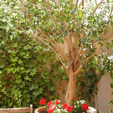 Apartment Suitur Courtyard Barcelona